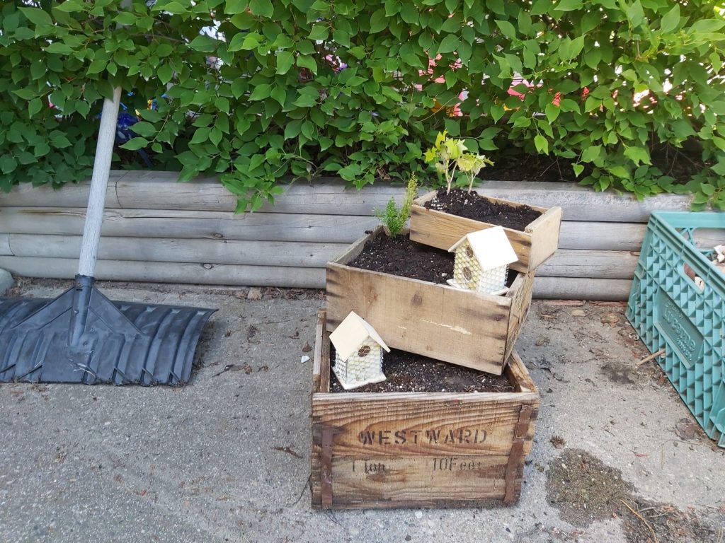 building a fairy garden from 3 wooden crates