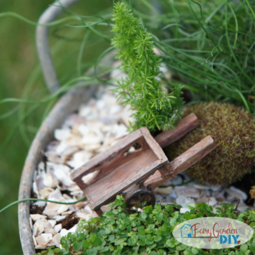 foxtale fern in a fairy garden