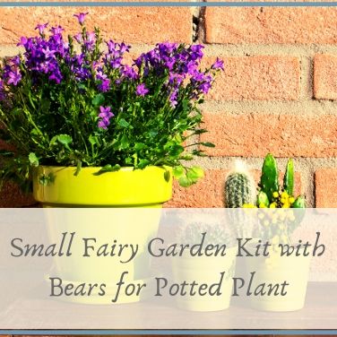 Small Fairy Garden Kit with Bears for Potted Plant
