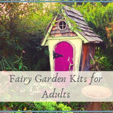 fairy garden kits for adults