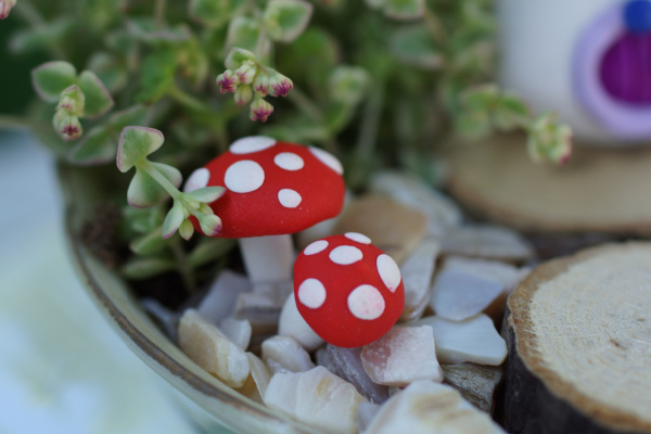 polymerclay toadstools in teacup fairy garden