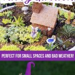 how to make an indoor fairy garden