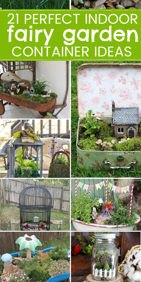 Indoor fairy garden container ideas