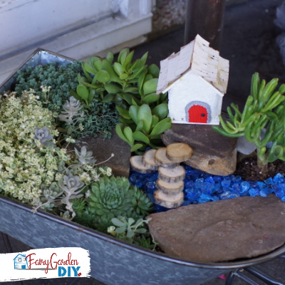 How to Build a Succulent Fairy Garden (indoor or outdoor)