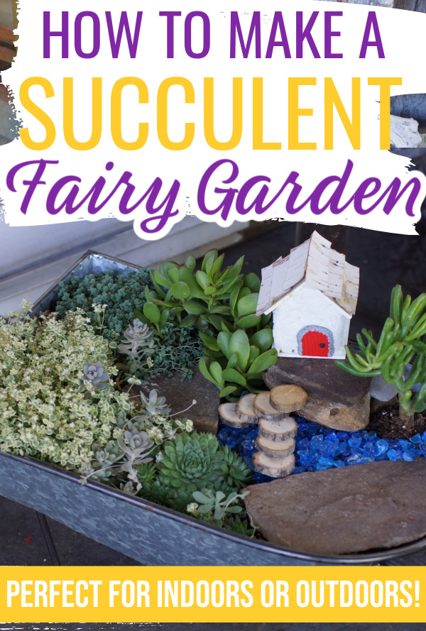 How to Build a Succulent Fairy Garden (indoor or outdoor)