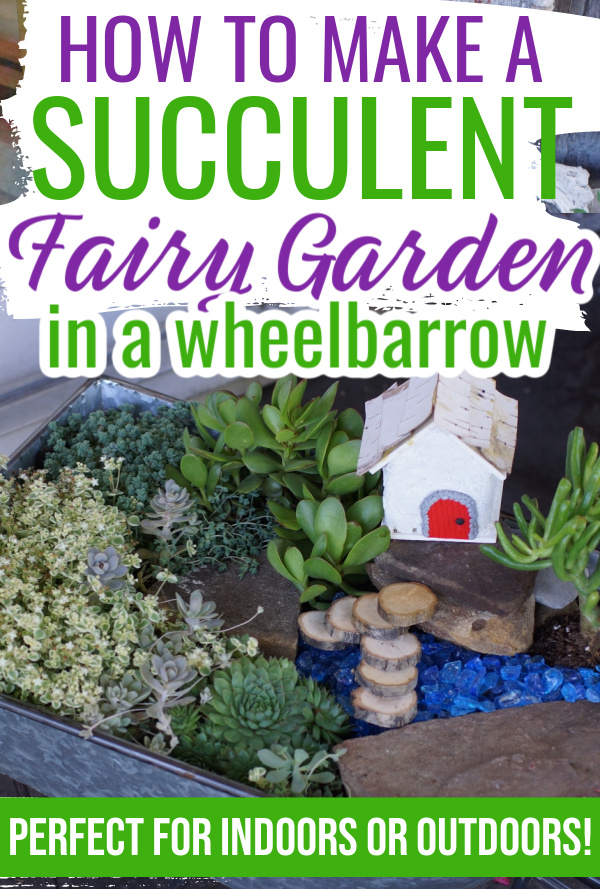 How to Build a Succulent Fairy Garden (indoor or outdoor)