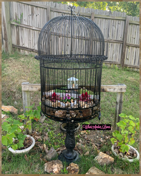 fairy garden in a birdcage