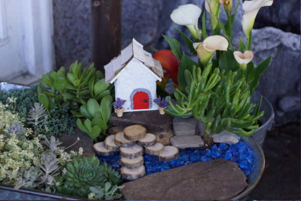 succulent fairy garden