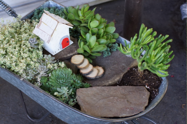 how to make a succulent fairy garden