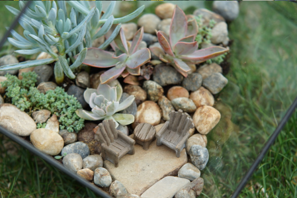 indoor fairy garden planter: terrarium