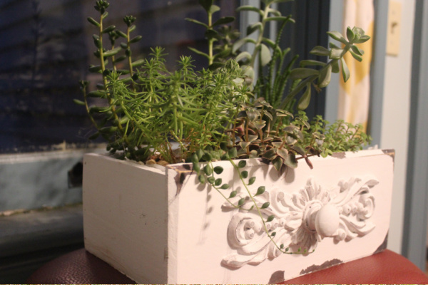 old drawer a planter idea