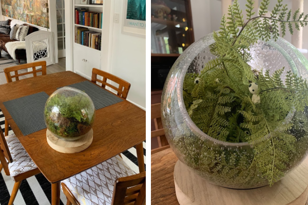 DIY Coffee Pot Terrarium - House of Hawthornes