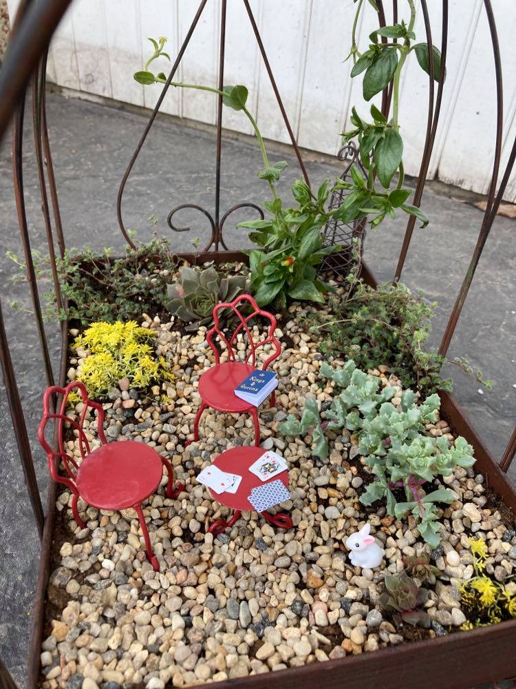 DIY fairy garden in a birdcage ALT TEXT TEST