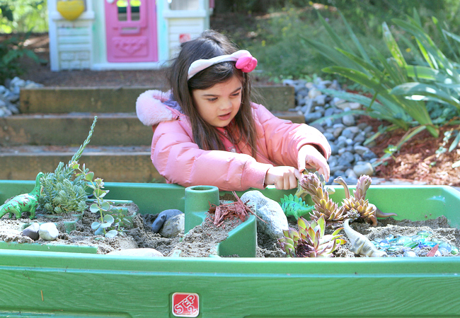 outdoor fairy garden contain ideas