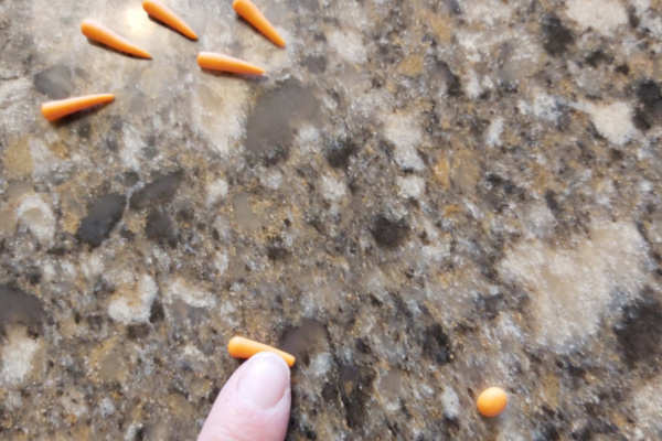 making DIY miniature carrots from polymer clay