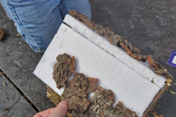 Putting the bark roof on the twig fairy house