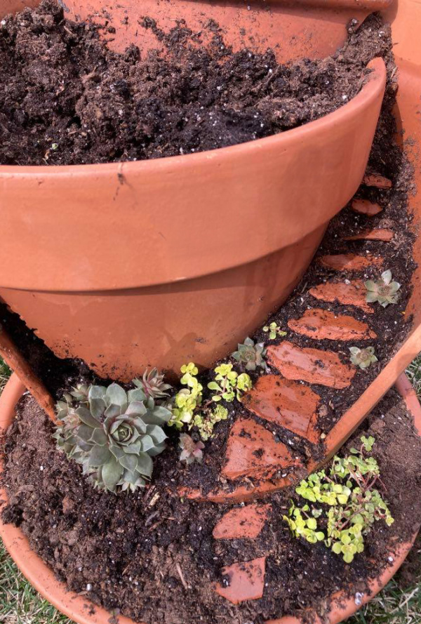 adding plants to a broken terracotta pot fairy garden