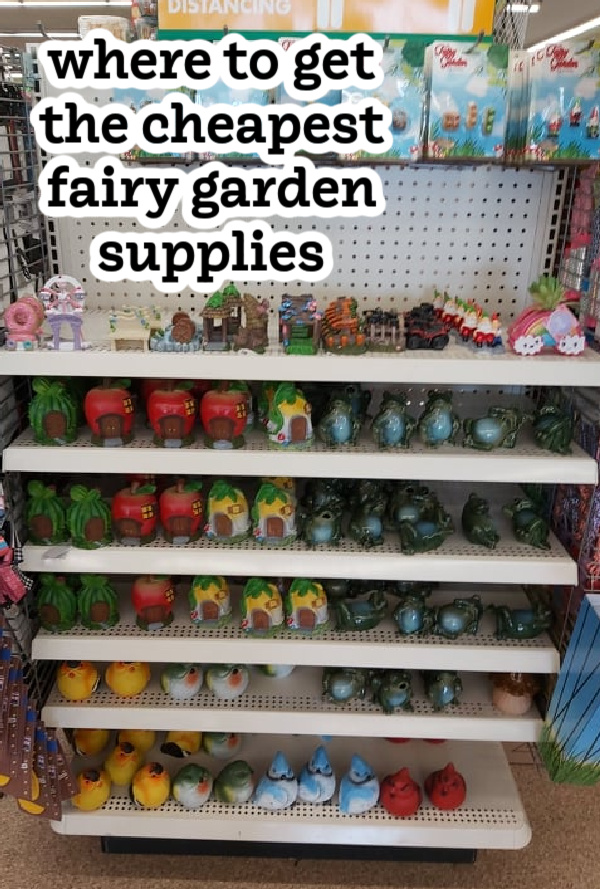 places to get cheap fairy garden supplies