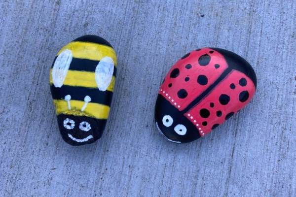 painted rock bugs - ladybug and bumble bee