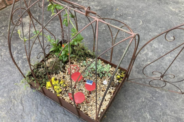 miniature garden created in a birdcage