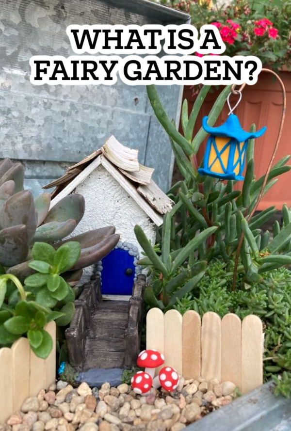 fairy house with blue door and red and white toadstools