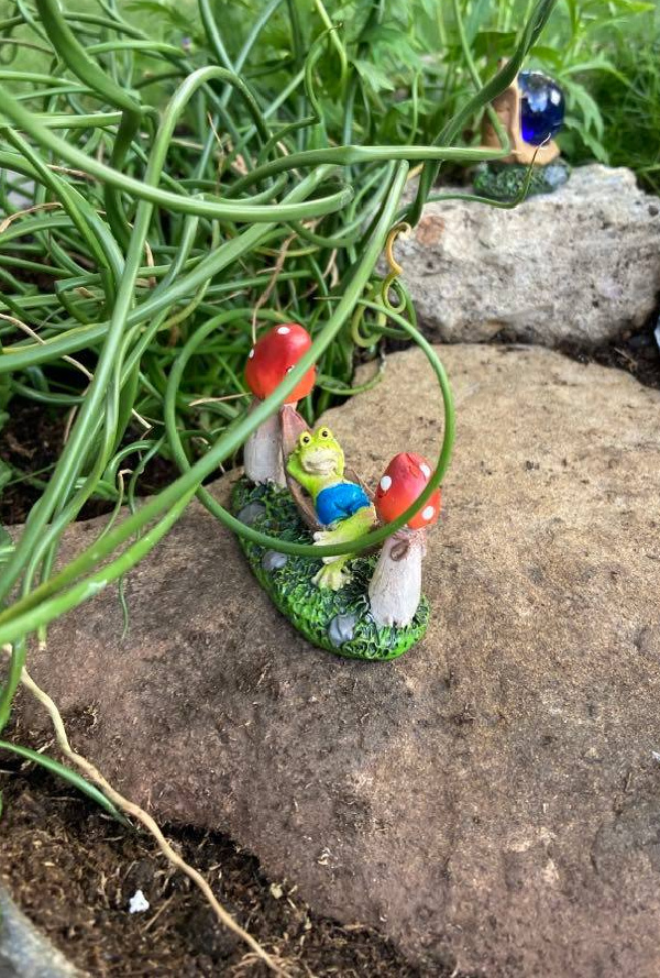 frog figure in a miniature garden