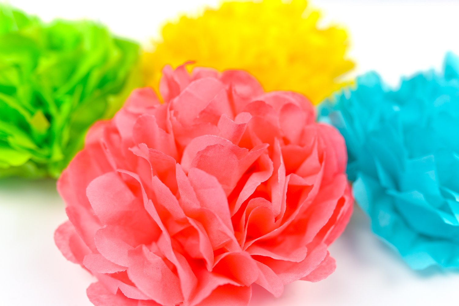 tissue paper flowers