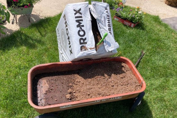 old red wagon filled with potting soil