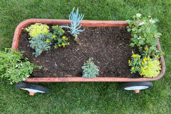 plants in an old red wagon